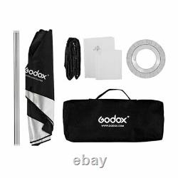 2x GODOX DE300II 300Ws Studio Strobe Flash Light Lamp + 22x90cm Grid Softbox