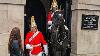 Disrespectful Idiot Tourist Can T Wait For Her Picture And Interrupts The Guard At Horse Guards