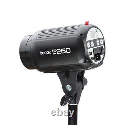 Godox E250 Studio LED Headlight Flash Strobe Photo Video+Reflective Umbrella Set