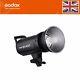 Godox New Sk400ii 2.4g Photography Studio Flash Strobe Lamp Light Head