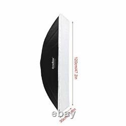 2x Lampe Flash Godox De300ii 300ws Studio Strobe + 30x120cm Grid Softbox